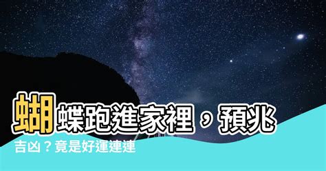 蝴蝶跑進家裡|【蝴蝶跑進家裡】蝴蝶跑進家裡，預兆吉凶？竟是好運連連的象徵！